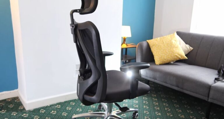 She-Hu Office Chair Review: Is the Higher Price Justified?