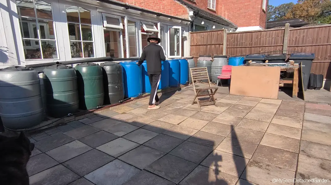 Multi-barrel rainwater harvesting system positioned along the side passage of a UK semi-detached garden