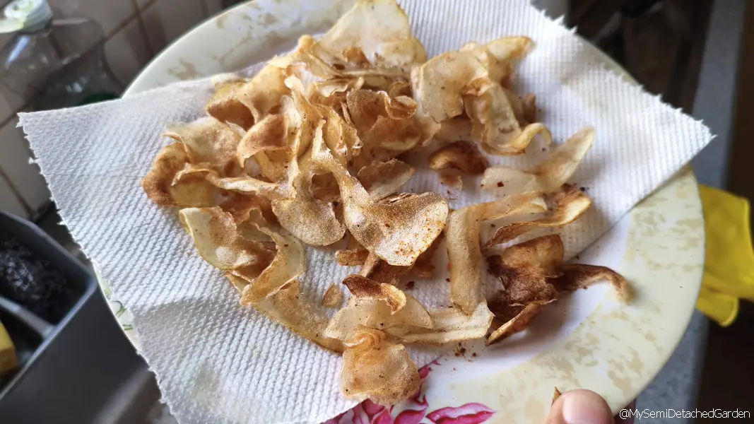 Crispy fried potato skins made from homegrown suburban garden potatoes