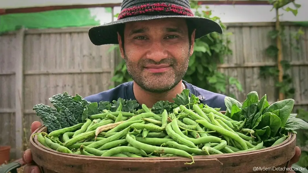Ziggy holding a large bowl of freshly picked green runner beans