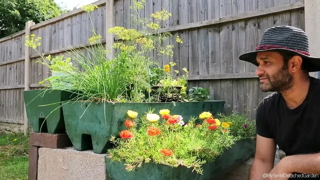 Suburban UK semi detached garden setup showing raised wooden beds and soil infrastructure