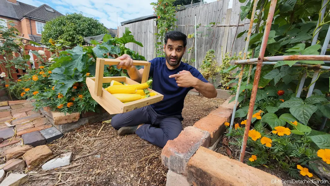Homegrown potatoes and vegetables harvested from a UK suburban garden